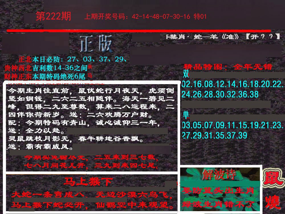 2024222期新港内幕