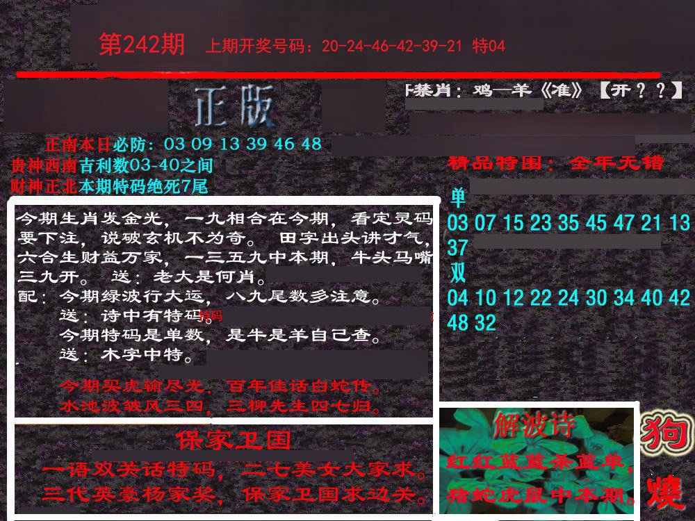 2024242期新港内幕