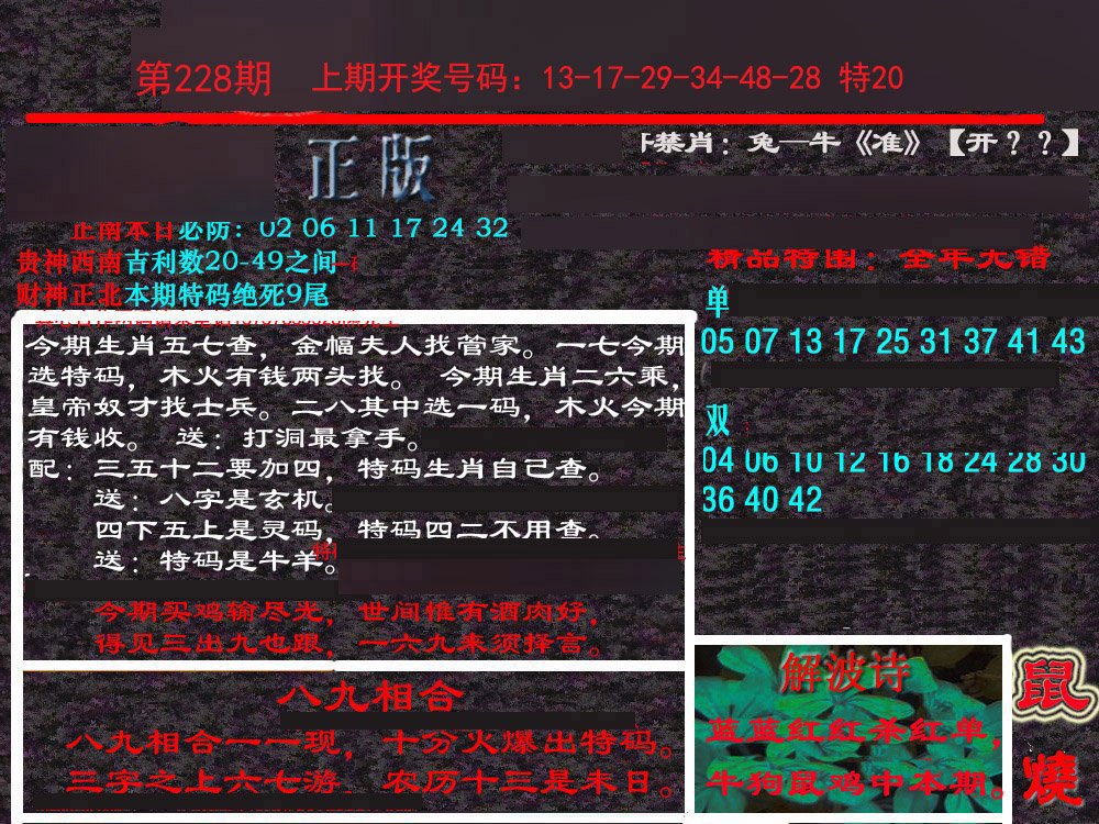 2024228期新港内幕