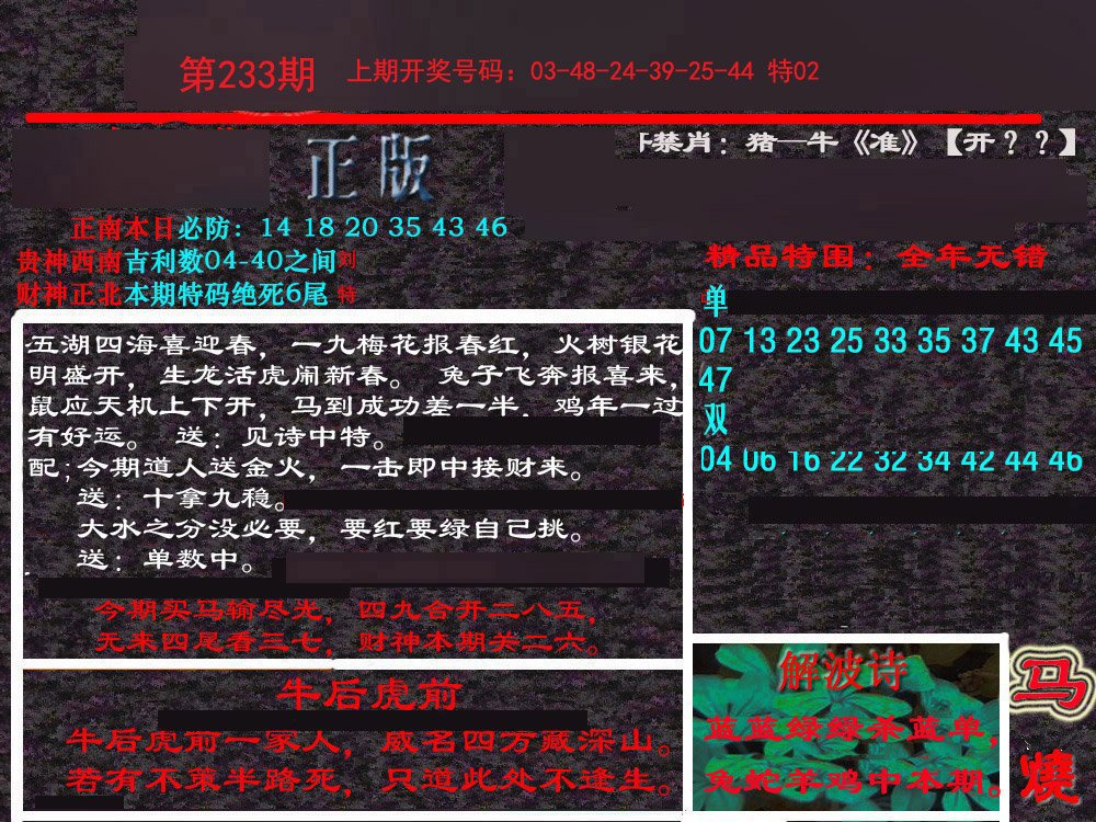 2024233期新港内幕