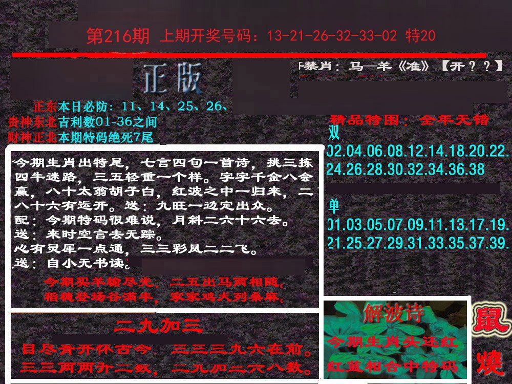 2024216期新港内幕