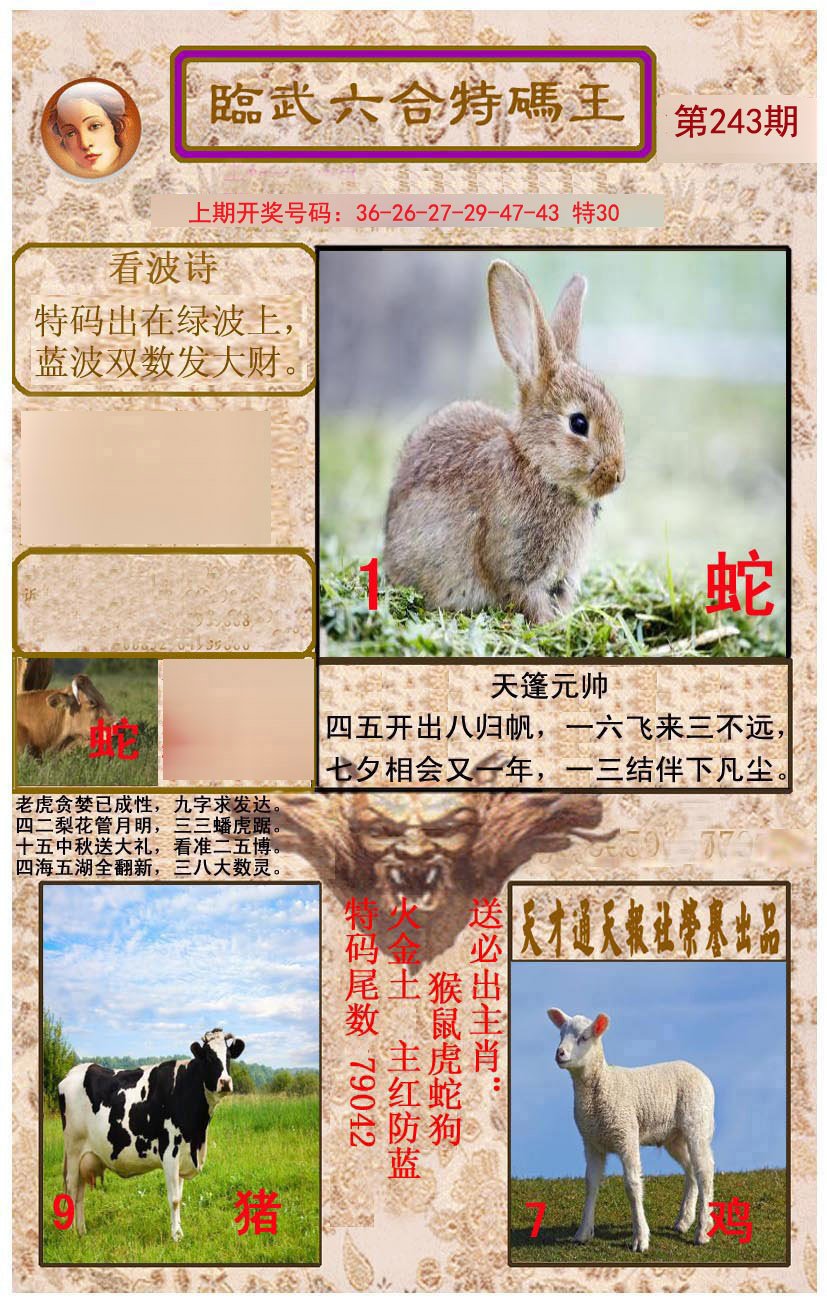 2024243期临武六合特码王