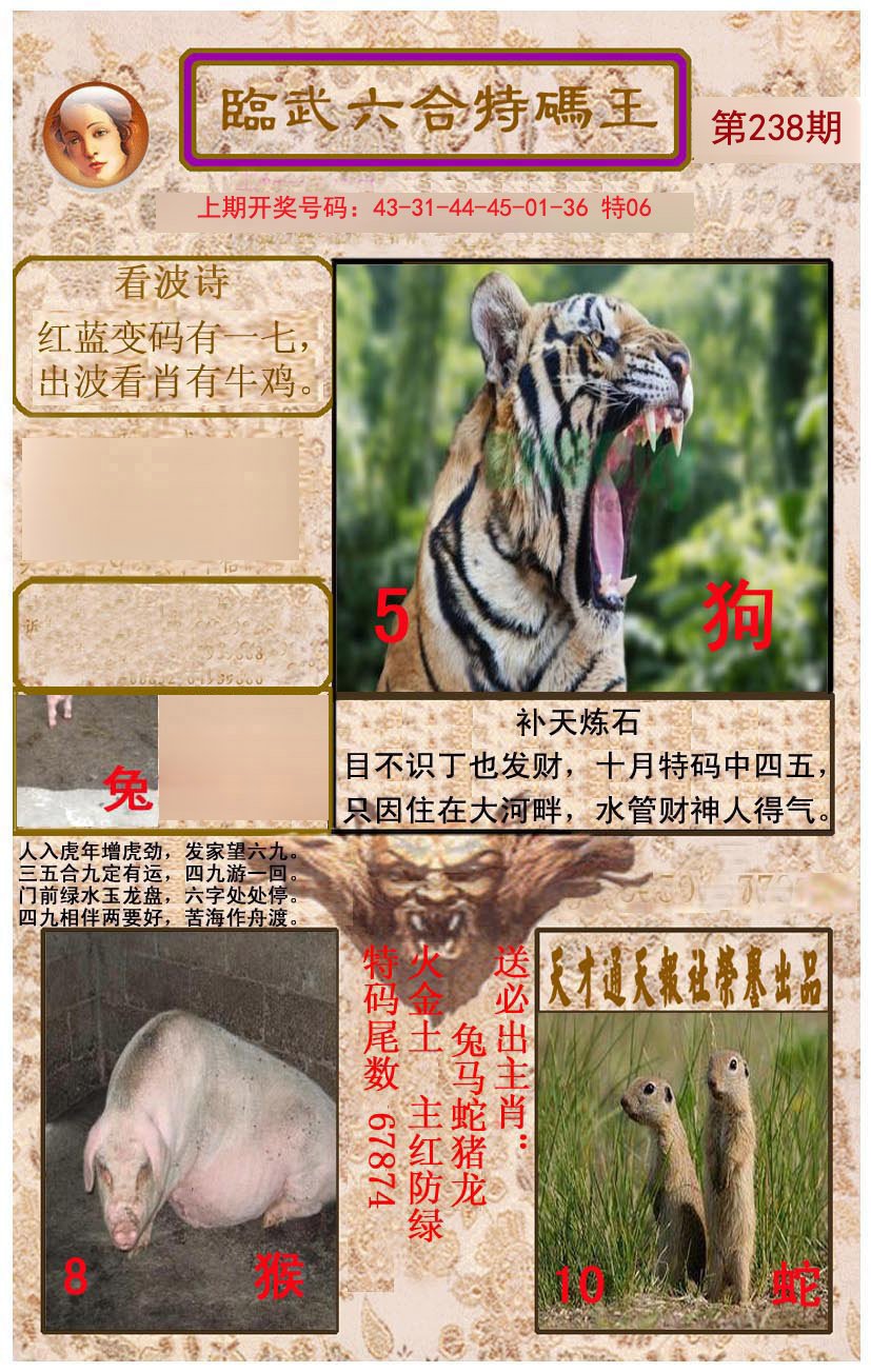 2024238期临武六合特码王
