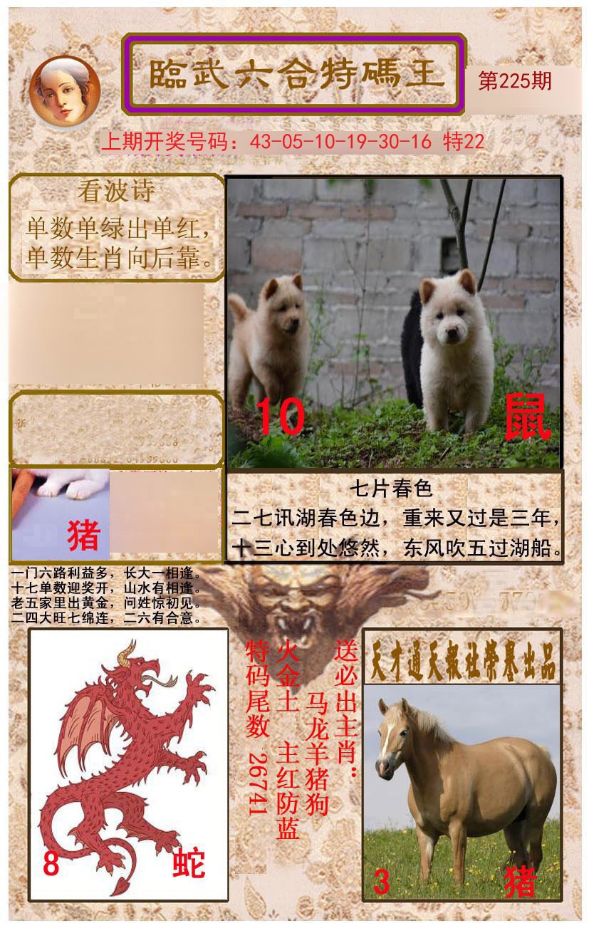 2024225期临武六合特码王