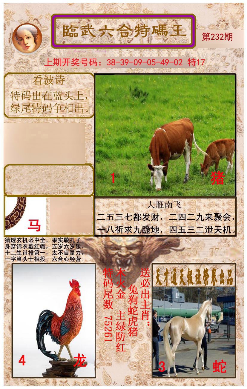 2024232期临武六合特码王