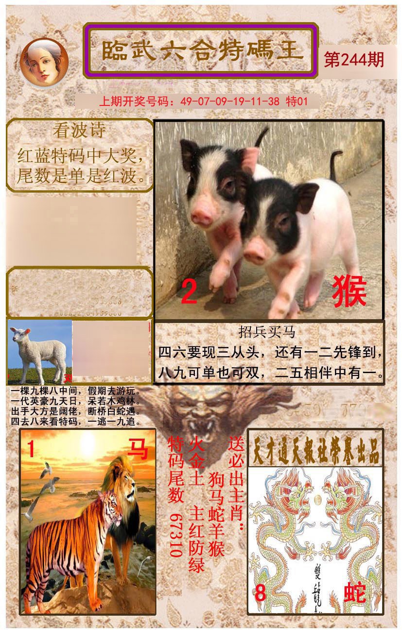 2024244期临武六合特码王