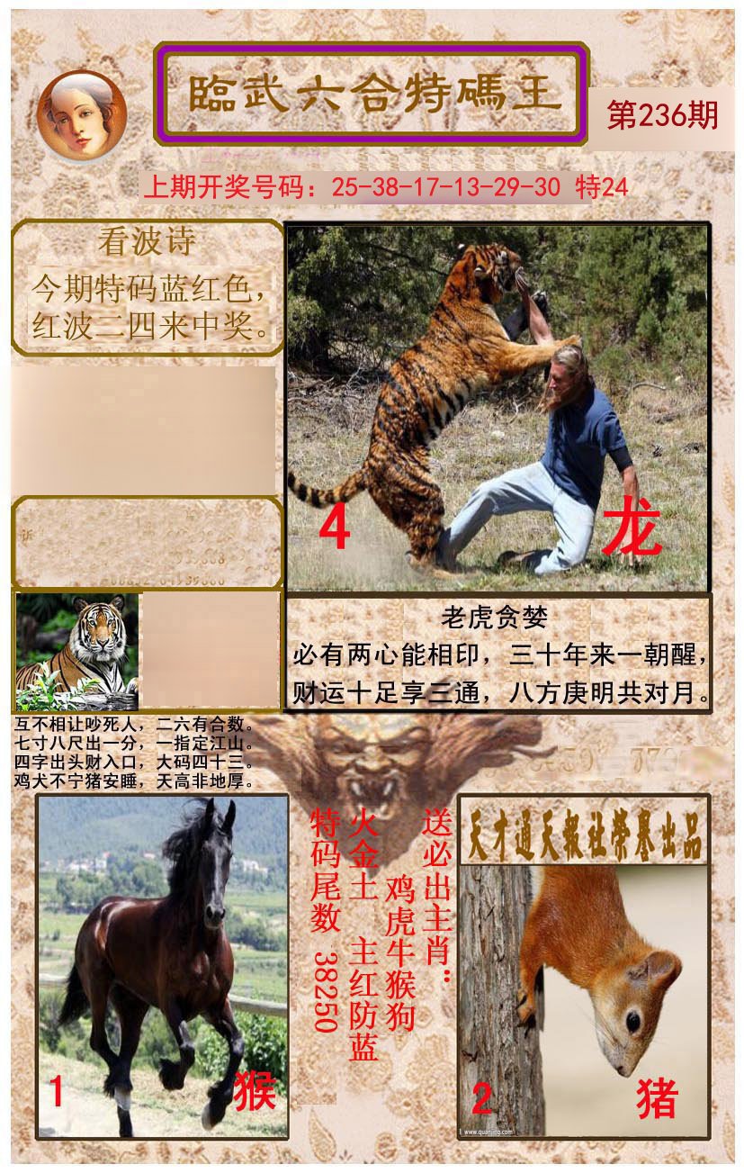 2024236期临武六合特码王