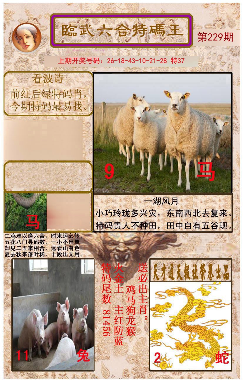 2024229期临武六合特码王