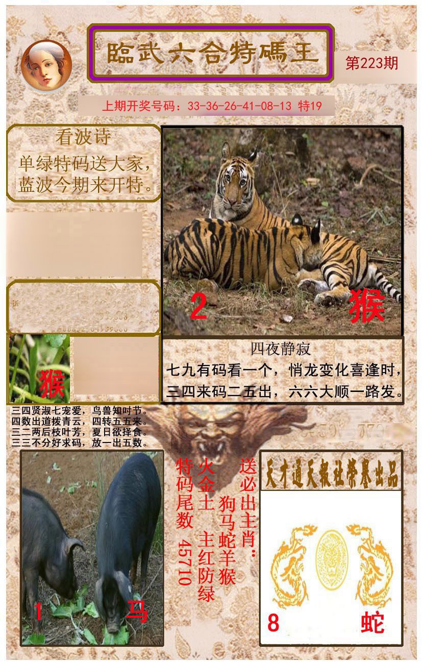 2024223期临武六合特码王