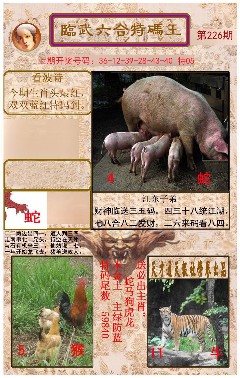 2024226期临武六合特码王
