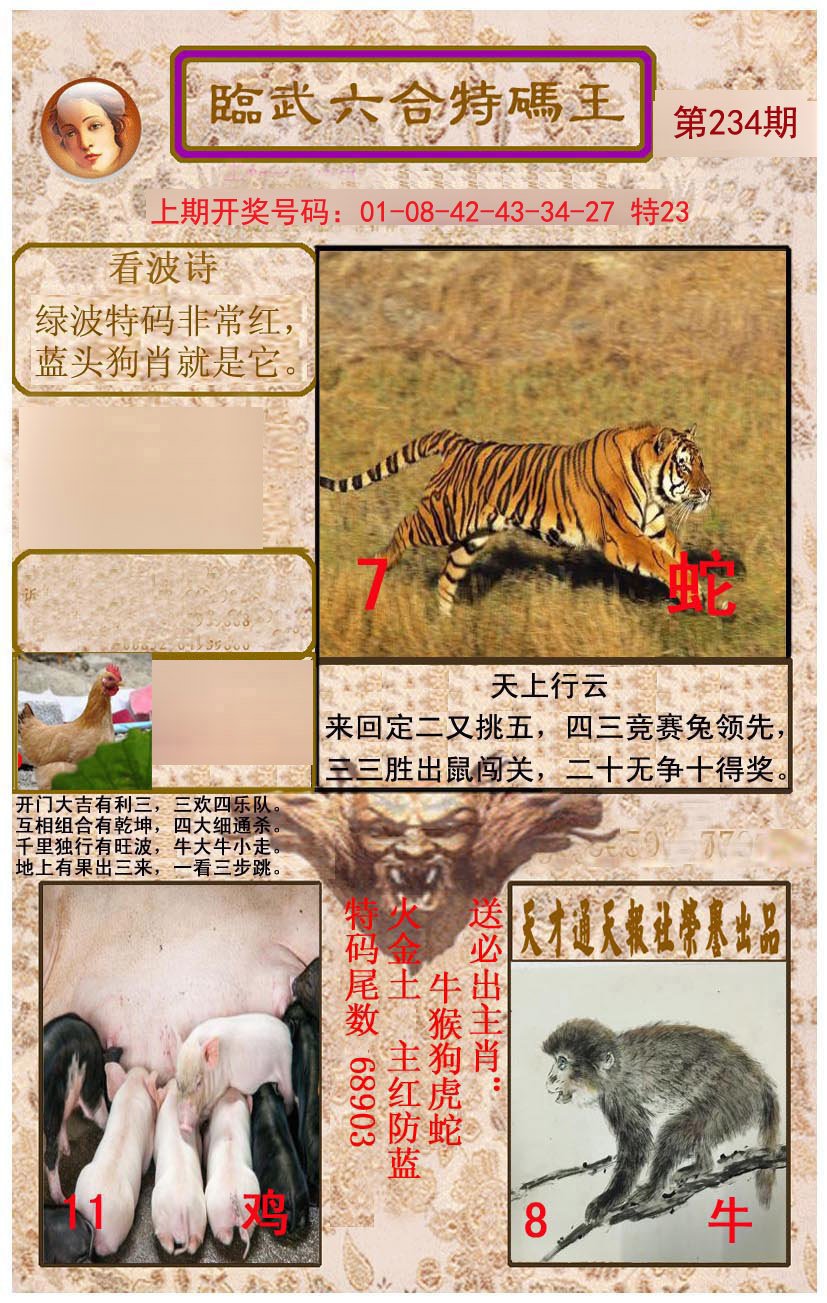 2024234期临武六合特码王