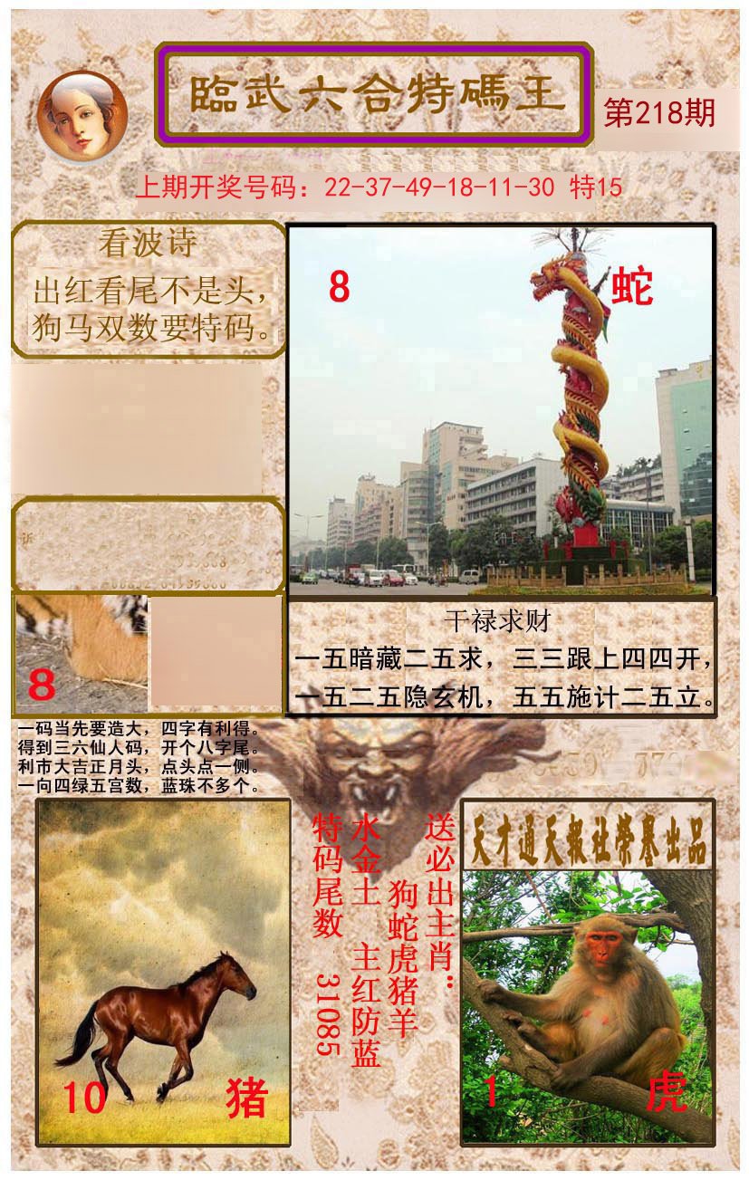 2024218期临武六合特码王