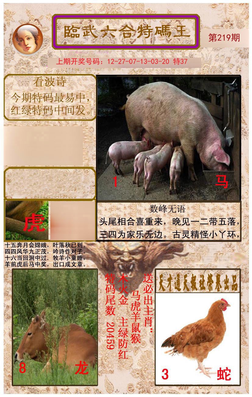 2024219期临武六合特码王