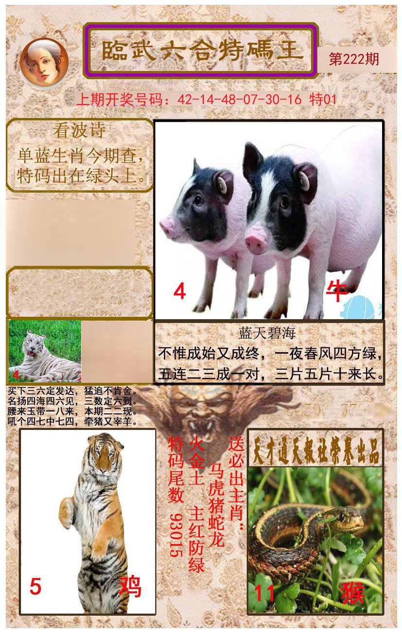 2024222期临武六合特码王