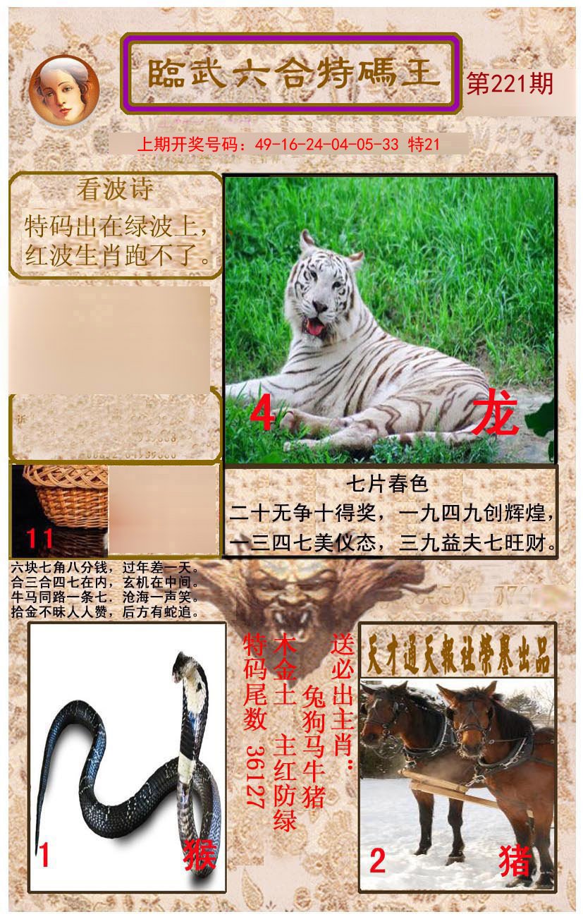2024221期临武六合特码王