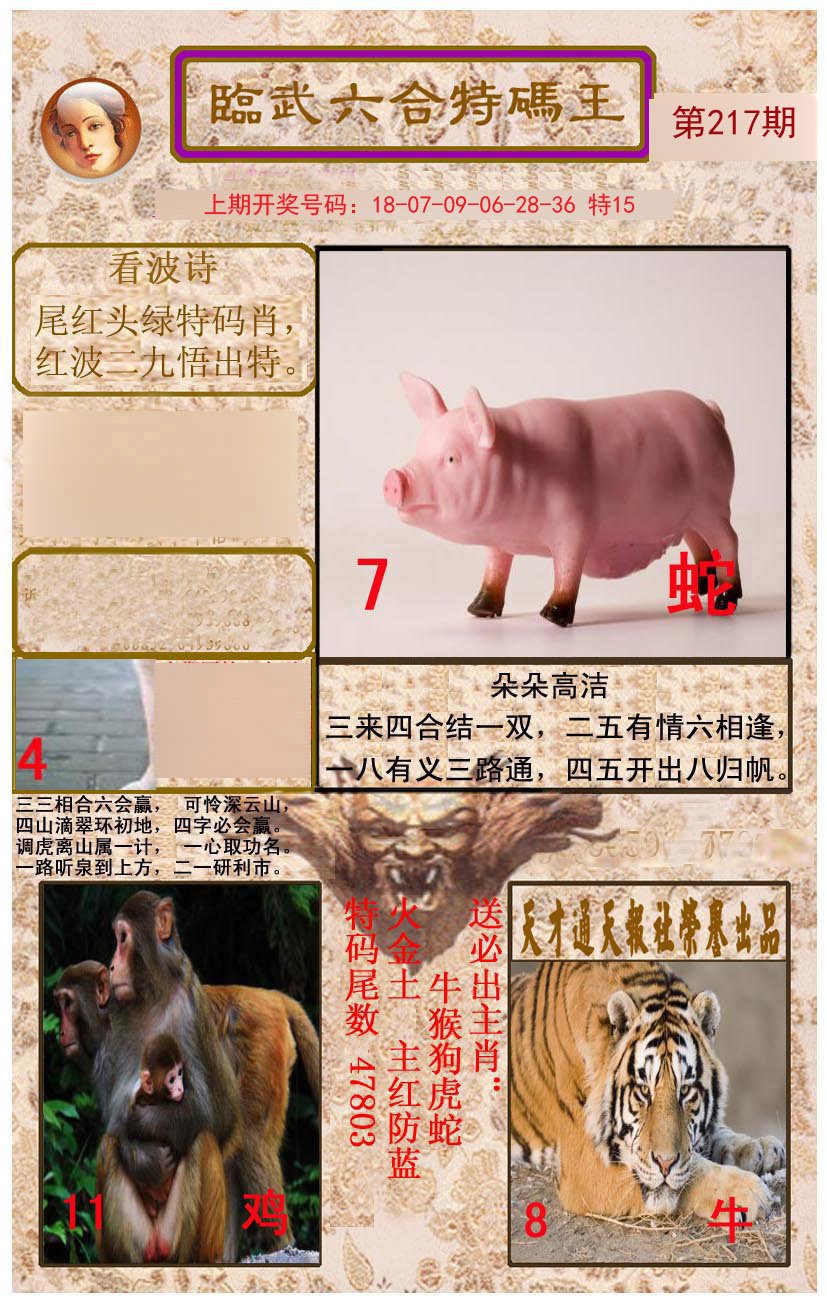 2024217期临武六合特码王