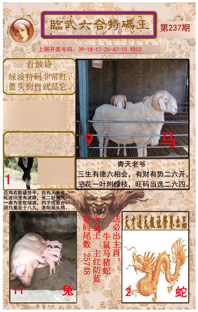 2024237期临武六合特码王