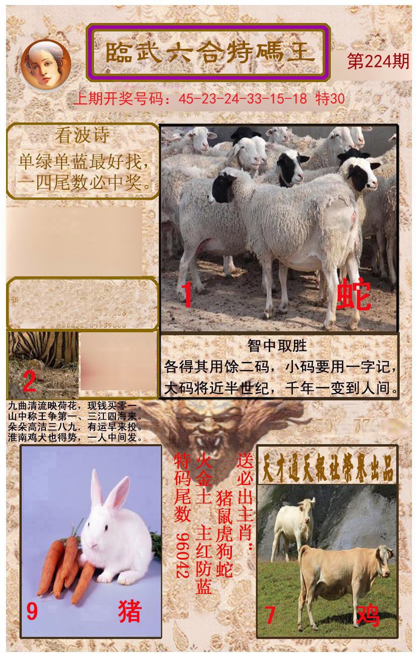 2024224期临武六合特码王