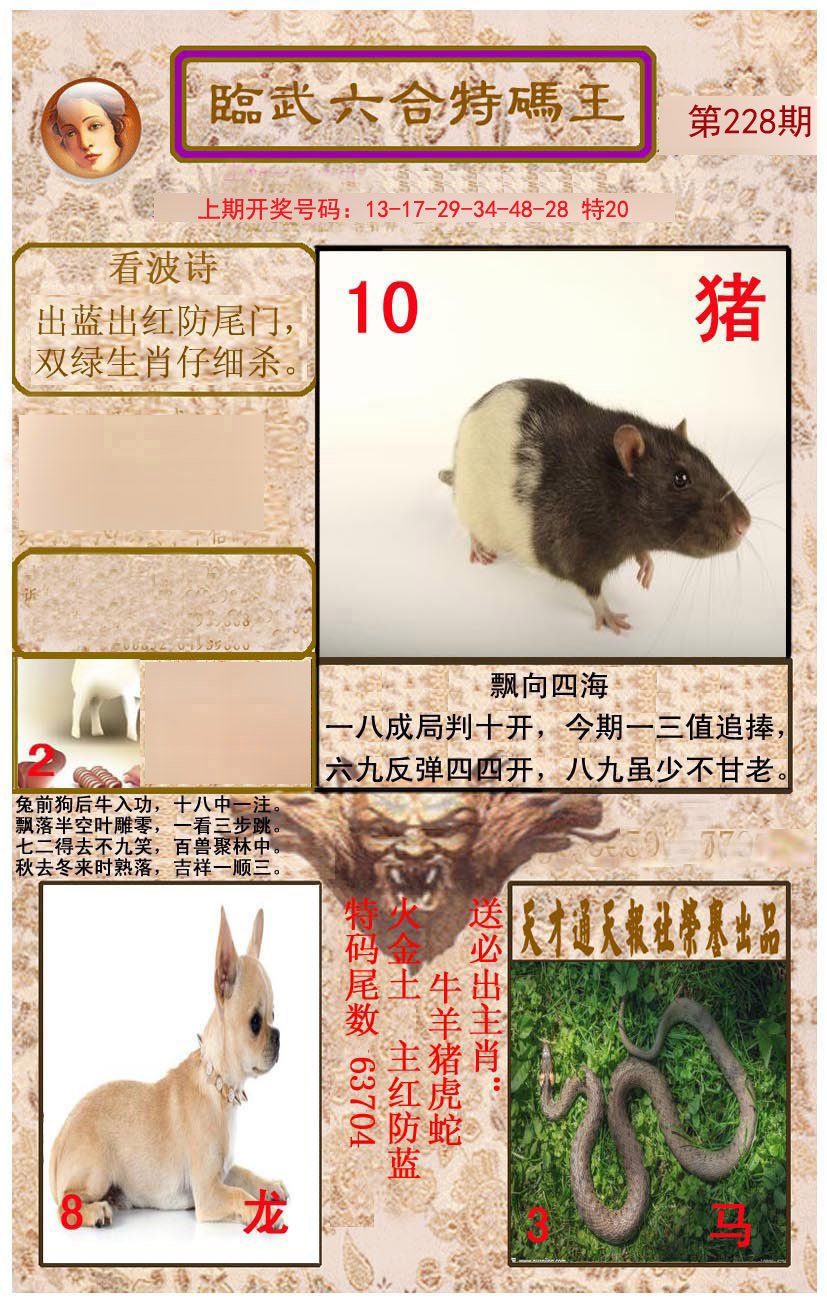 2024228期临武六合特码王