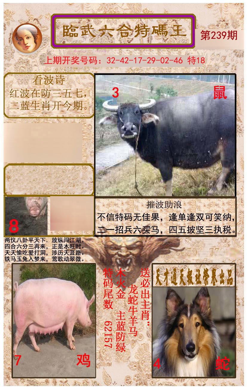 2024239期临武六合特码王