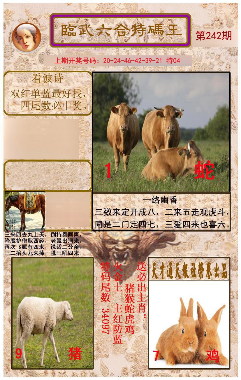 2024242期临武六合特码王