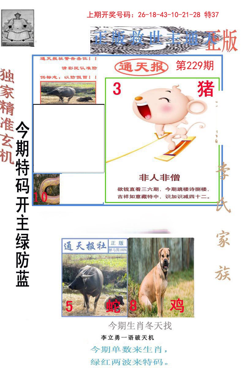 2024229期李力勇通天报