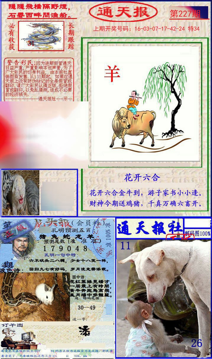 2024227期实力通天报