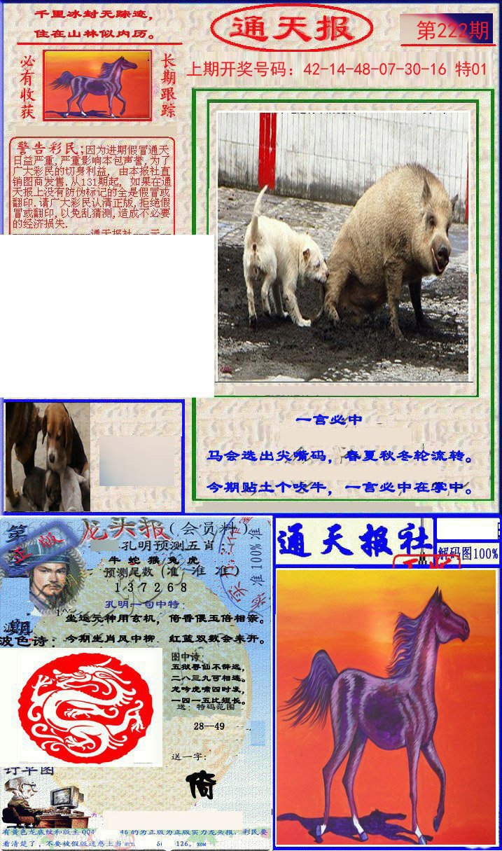 2024222期实力通天报