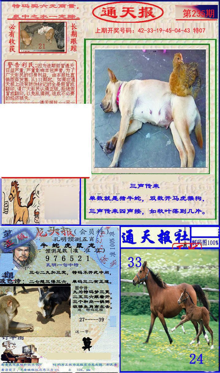 2024235期实力通天报