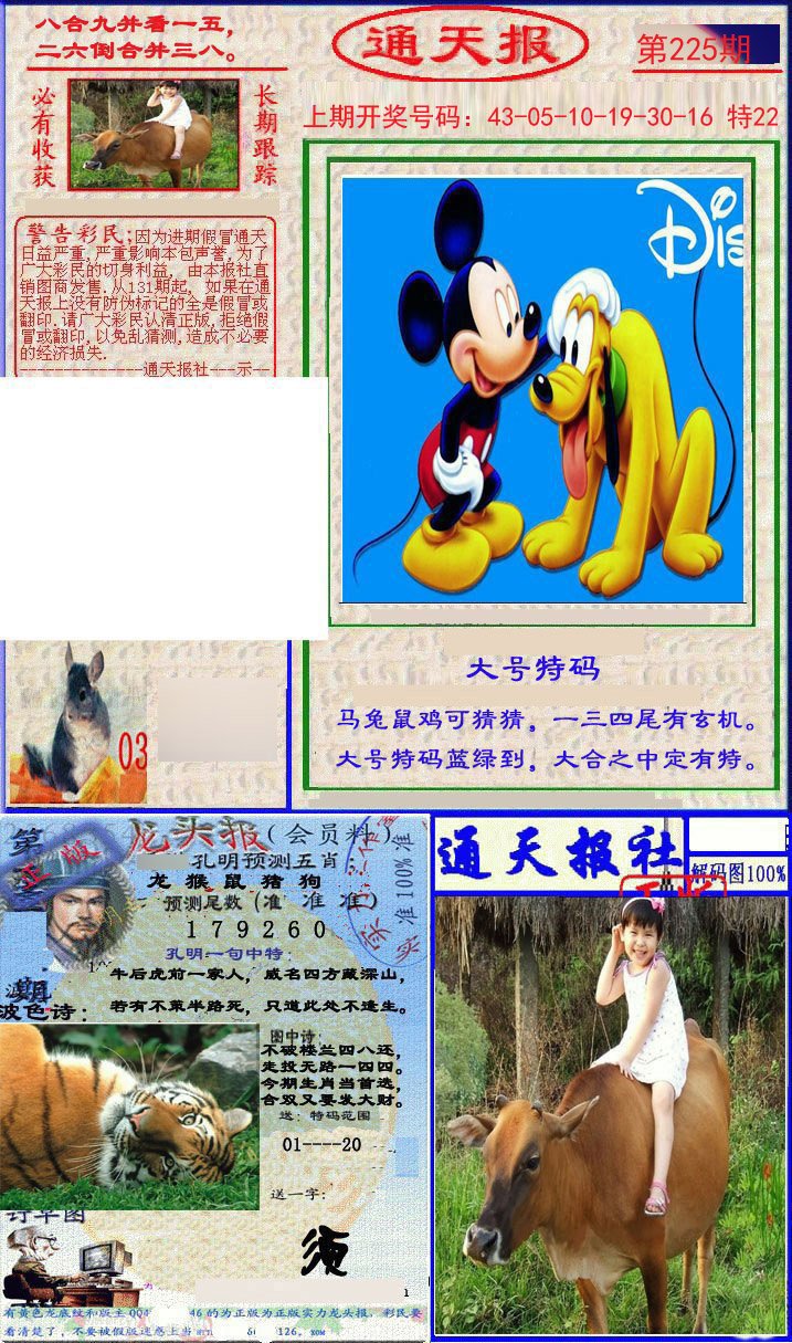 2024225期实力通天报