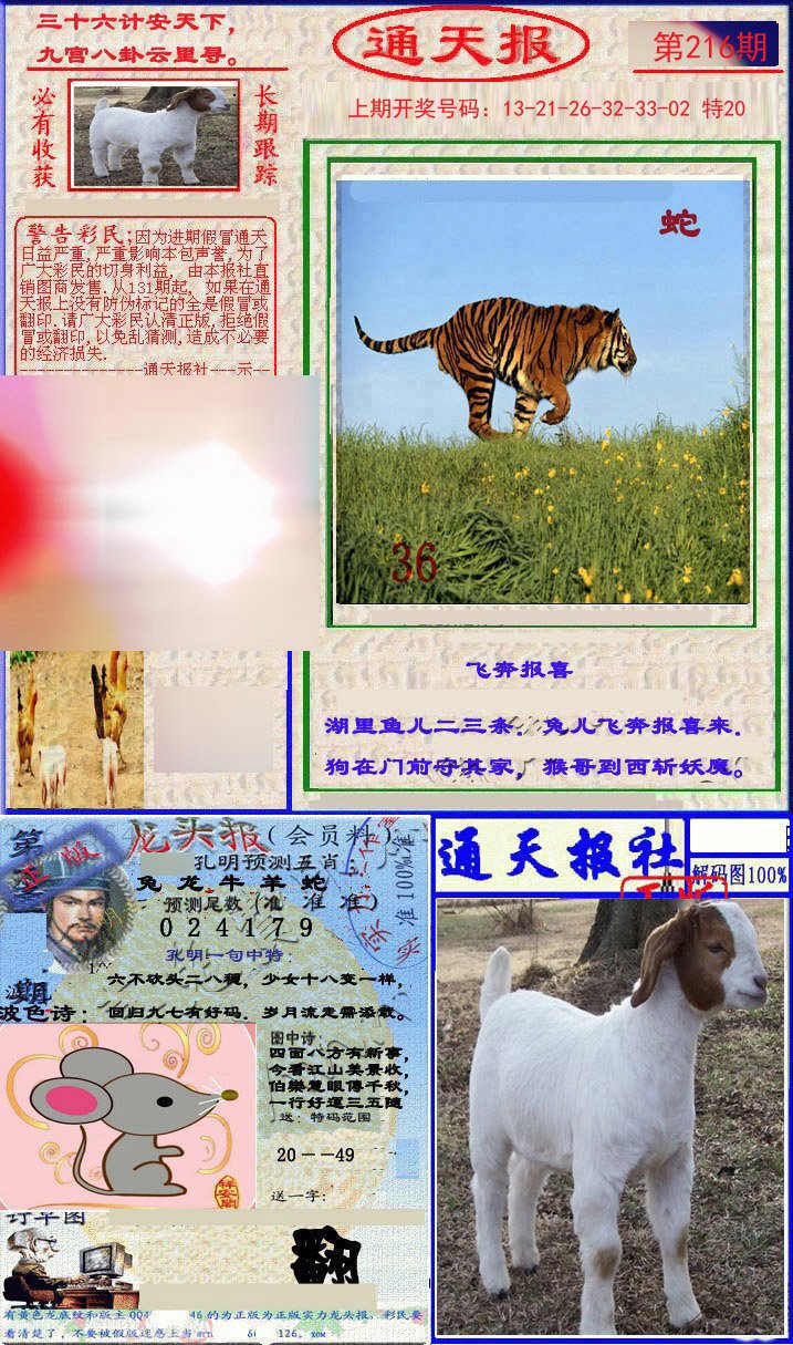 2024216期实力通天报