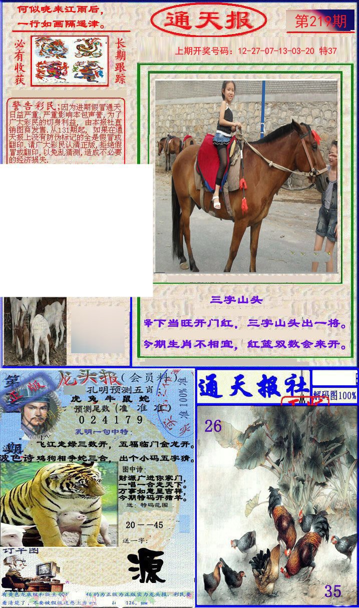 2024219期实力通天报