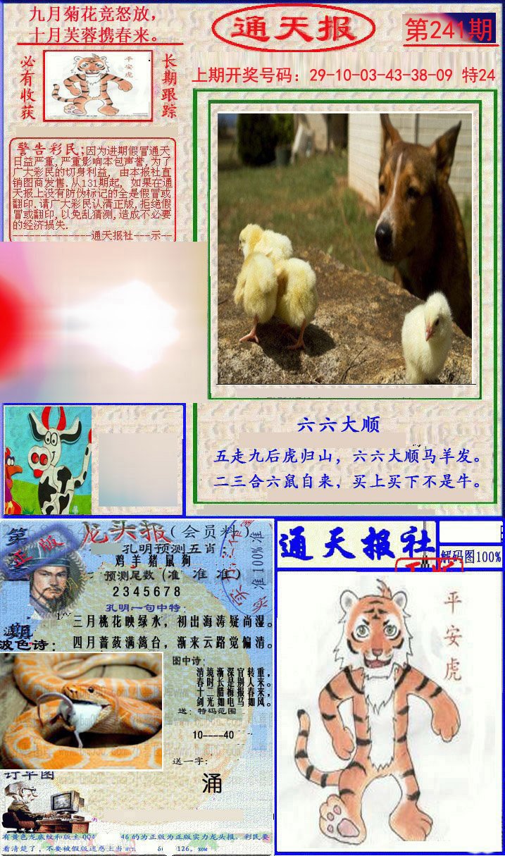 2024241期实力通天报