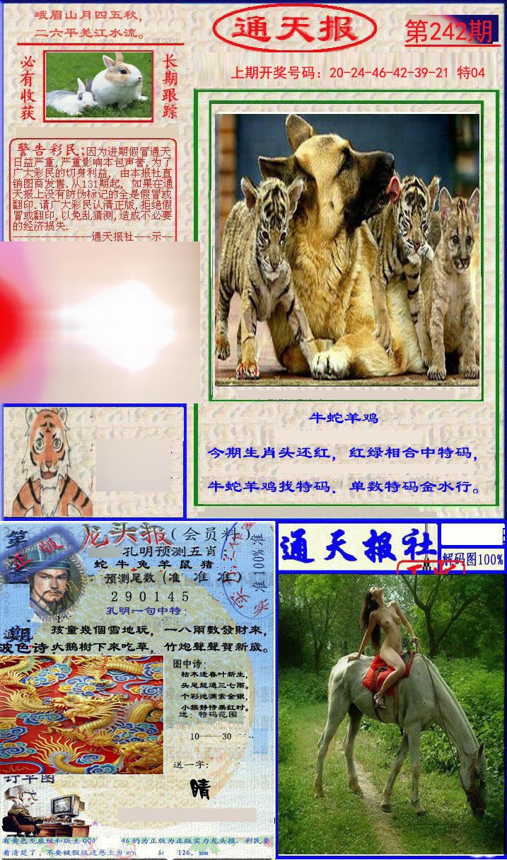 2024242期实力通天报