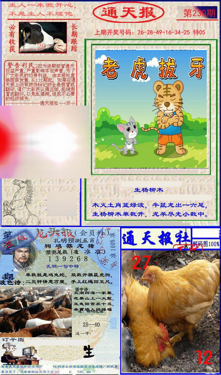 2024230期实力通天报