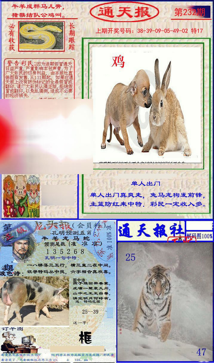 2024232期实力通天报