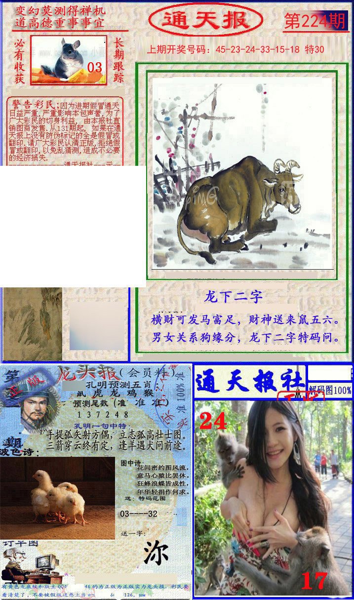 2024224期实力通天报