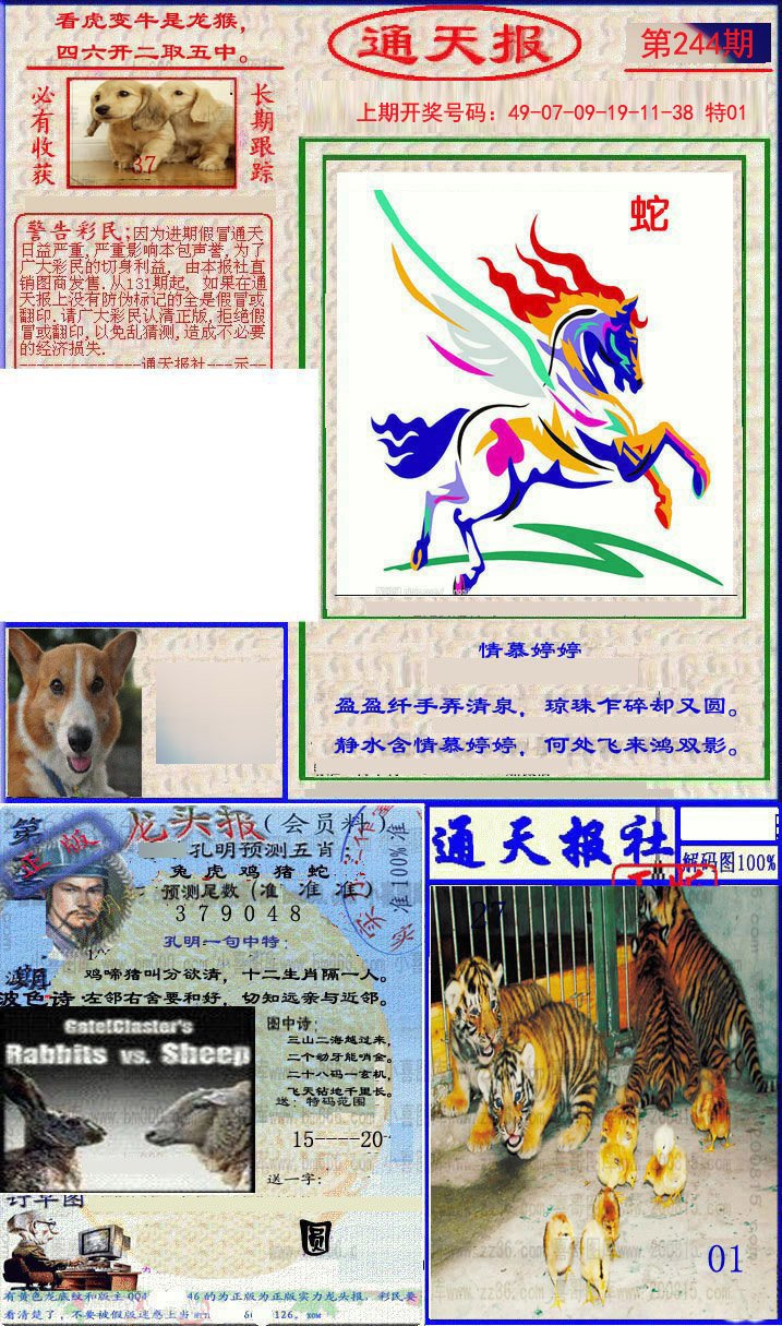 2024244期实力通天报