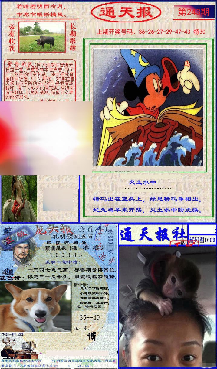 2024243期实力通天报