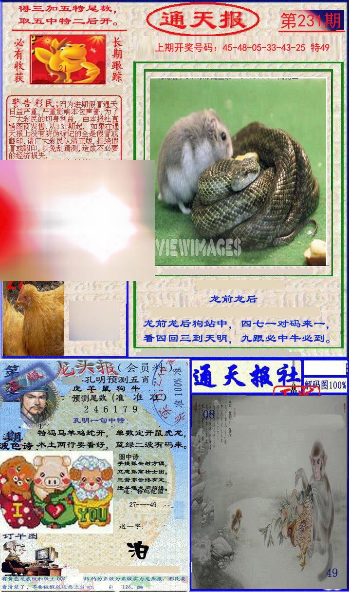 2024231期实力通天报