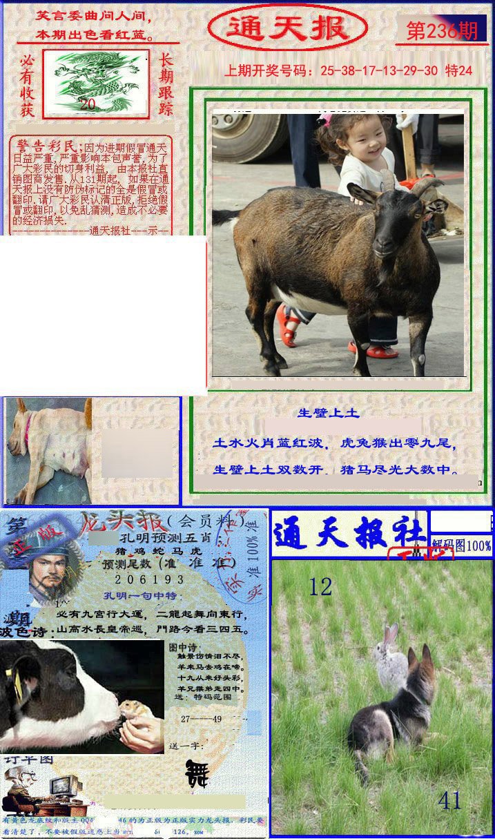 2024236期实力通天报