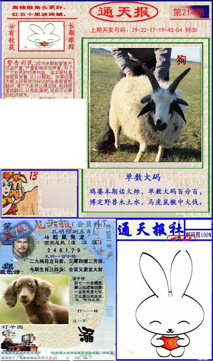 2024214期实力通天报