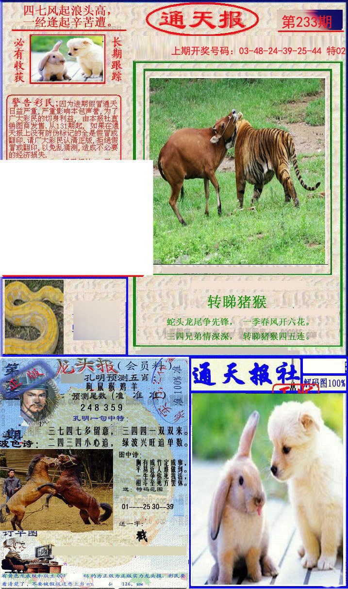 2024233期实力通天报
