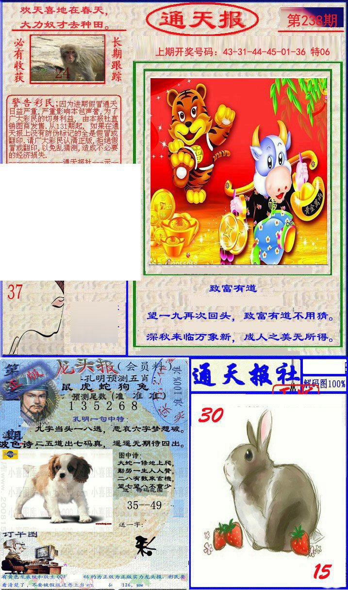 2024238期实力通天报