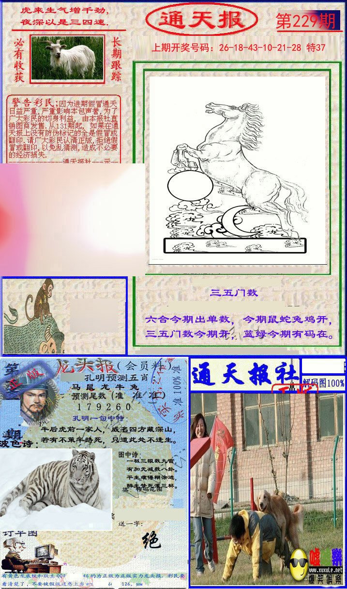 2024229期实力通天报