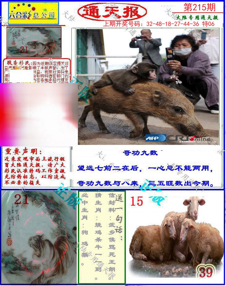 2024215期大陆通天报