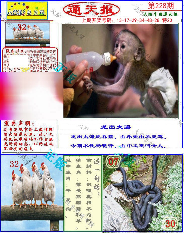 2024228期大陆通天报