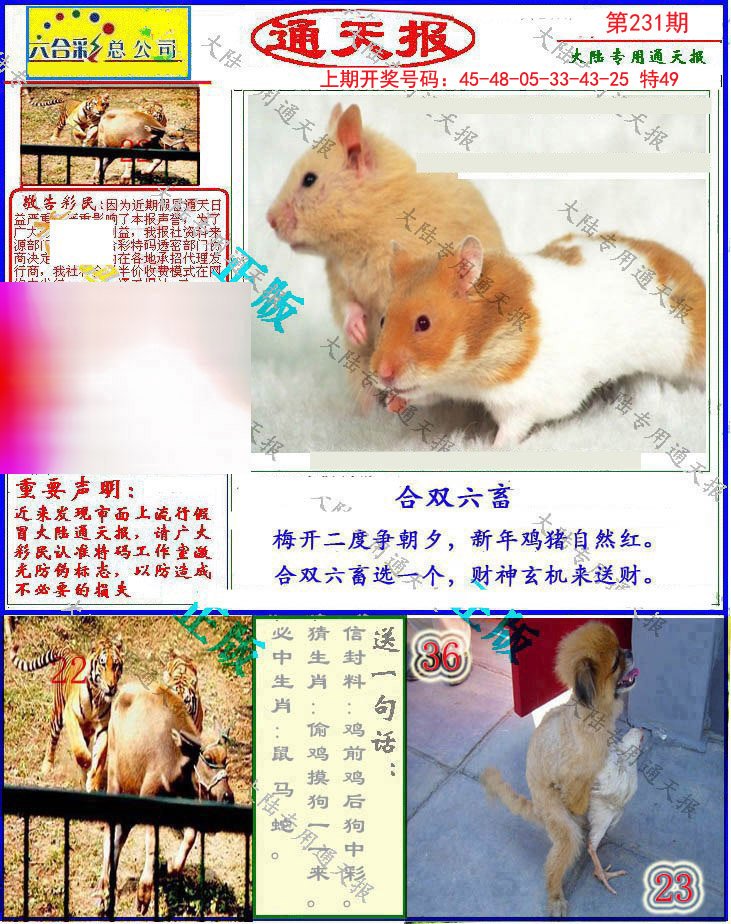 2024231期大陆通天报
