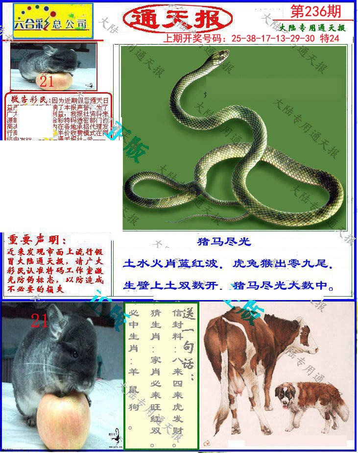 2024236期大陆通天报