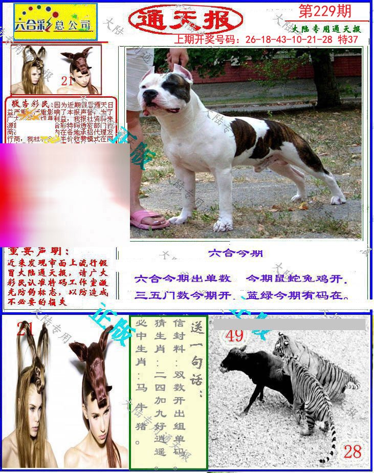 2024229期大陆通天报